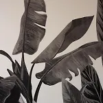 Appartement Tropical - Boutique *