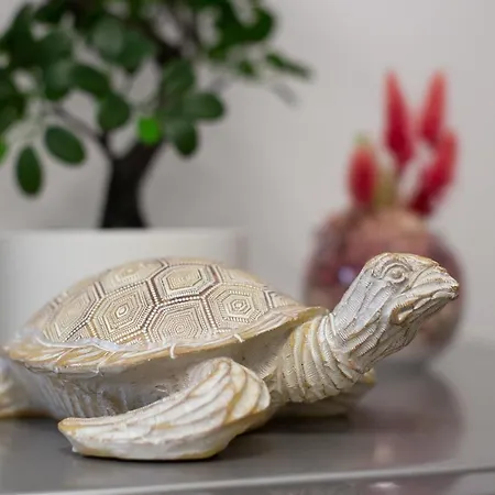 Apartamento Tropical - Boutique *