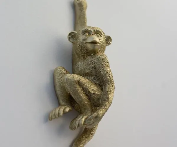 Appartement Tropical - Boutique *